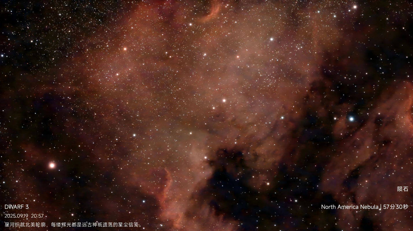 杨振宁先生千古