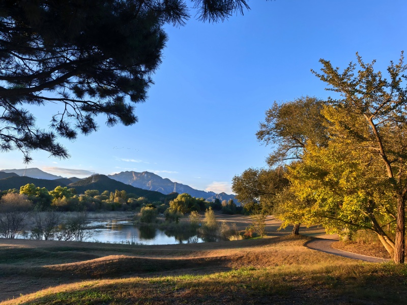  frps 实现多网站穿透